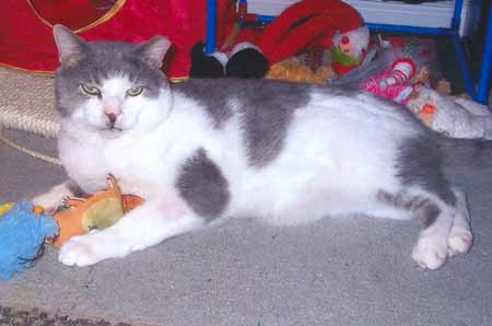 Franklin
